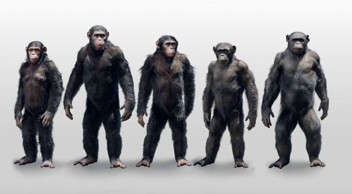 dawn-of-the-planet-of-the-apes-concept-art-23.jpg (144 KB)
