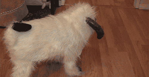 afternoon-033-07302014.gif (985 KB)
