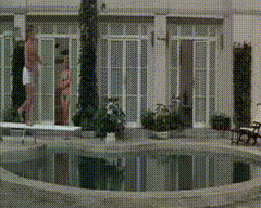 jello-flops.gif (171 KB)