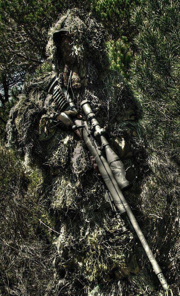 nothingtoseehere.jpg (413 KB)