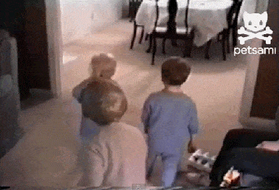2487ba3470d84479fd1c69f8d8cd9bb4.gif (2 MB)