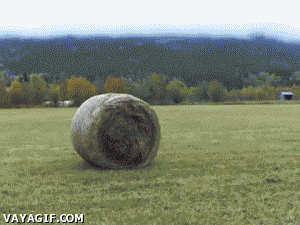 anigif_enhanced-buzz-3028-1414012098-4.gif (1 MB)