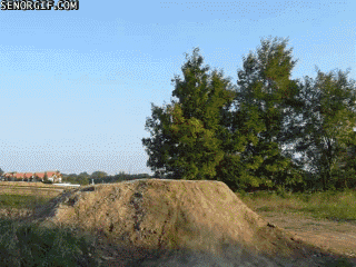 download-3.gif (1 MB)
