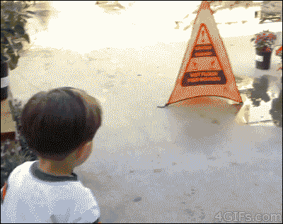 eAxfR7cqTLuoVdVOx0oq_14.gif (1 MB)