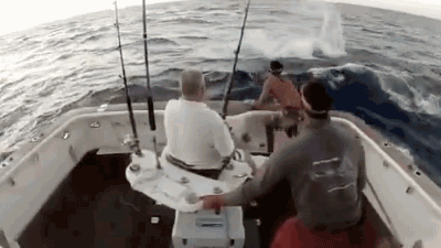 Fishing.gif (1 MB)