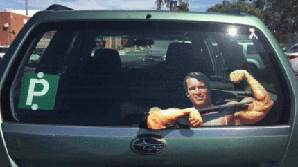44fffb91567548afa6ab39e.gif (3 MB)