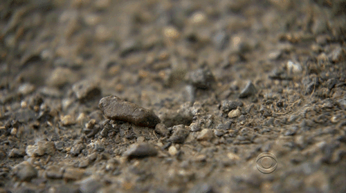 daily-wtf-022-10062014.gif (1 MB)