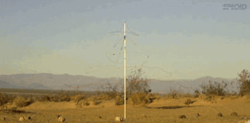 Det-Cord-X-Mas-Tree.gif (1 MB)