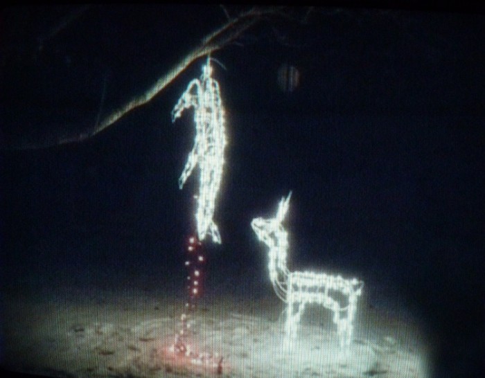 xmas-spirit2.jpg (227 KB)