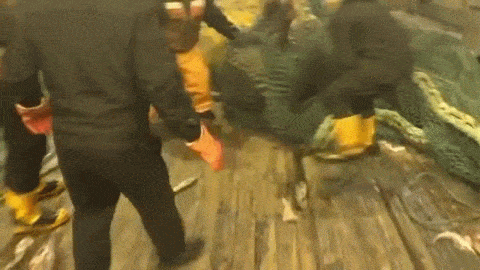 fails-031-11032014.gif (1 MB)