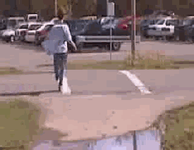imagesidiot-20under-20bus.gif (1 MB)
