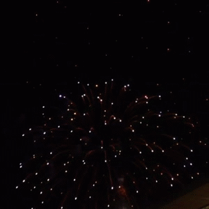 backwards4.gif (1 MB)