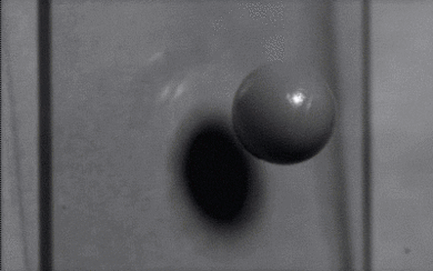 1163_b354_390.gif (4 MB)