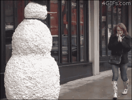 surprise-daily-wtf-024-07182014.gif (983 KB)
