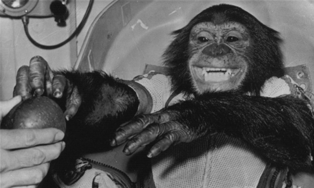 haminacan.jpeg (69 KB)