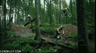JUMP-ch731B7BC0.gif (1 MB)