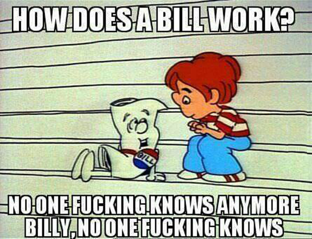 how-does-a-bill-work.jpg (257 KB)