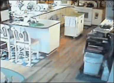 cat-senses-earthquake.gif (1 MB)