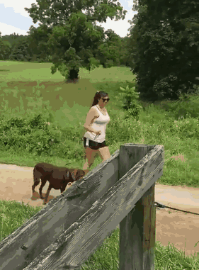 dog.gif (7 MB)