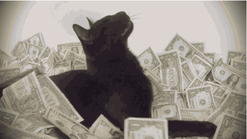 caturday-001-09052015.gif (990 KB)