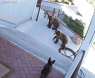 afternoon-035-10042015.gif (1 MB)