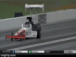 download-14.gif (1 MB)