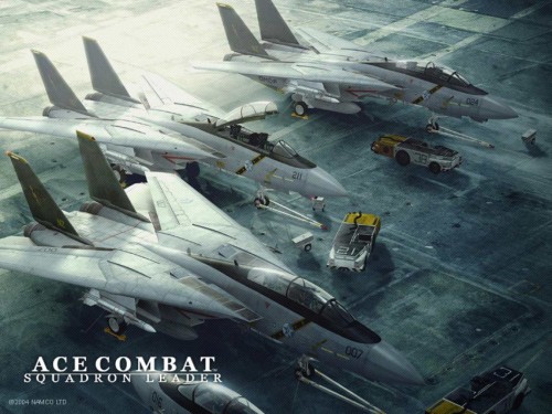 Ace_Combat__Squadron_Leader.jpg (131 KB)