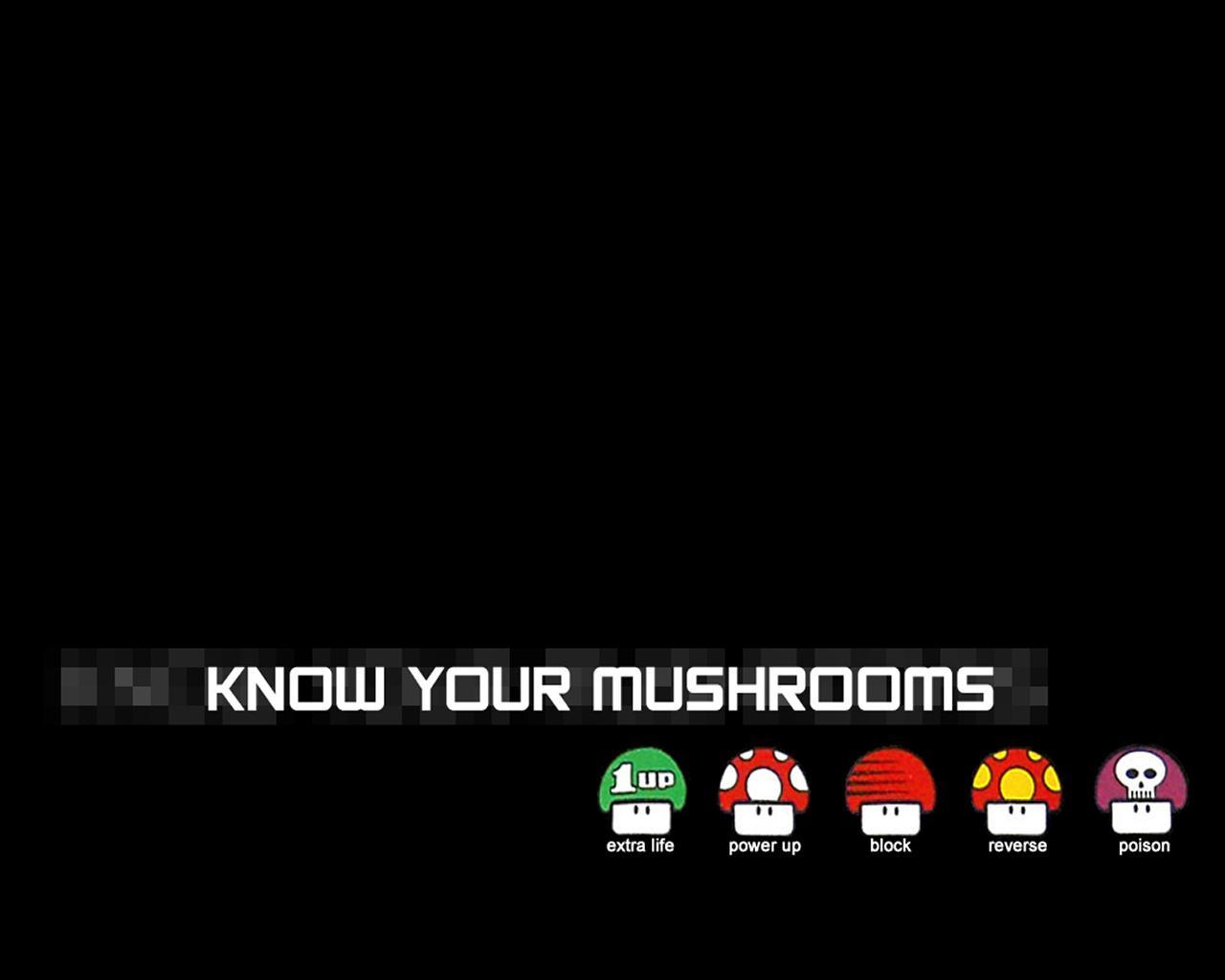 Mario – Know Your Mushrooms « MyConfinedSpace