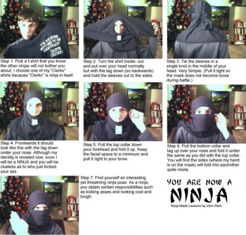 how-to-be-a-ninja.jpg (100 KB)