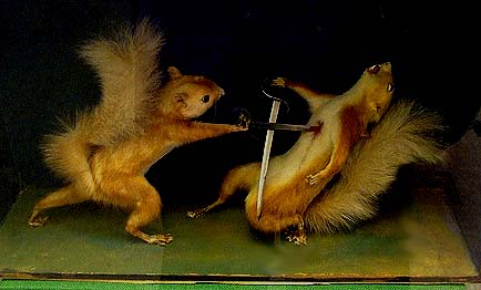 SquirrelDuel.jpg (33 KB)