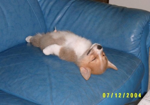 sleeping.jpg (95 KB)
