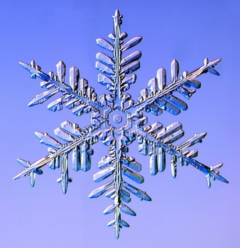 snowflake7.jpg (73 KB)