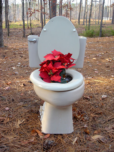 183575510_e4b54b4f14.jpg (157 KB)