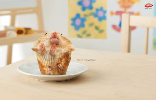 cupcake.jpg (214 KB)