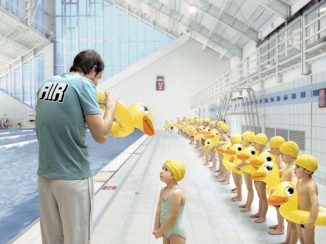 ducklings.jpg (63 KB)