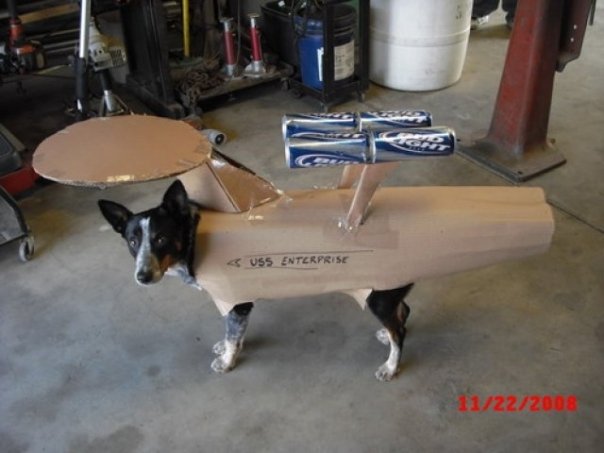 dog.jpg (39 KB)
