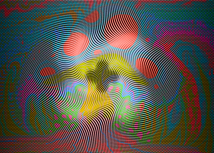 CrazeMush1410-700x500.jpg (726 KB)