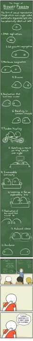 Biology101.jpg (415 KB)