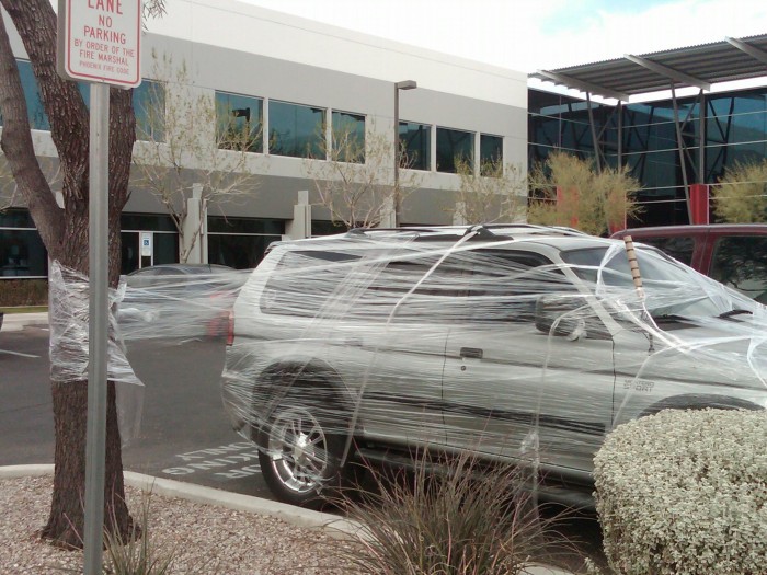 saranwrappedatwork2.JPG (427 KB)