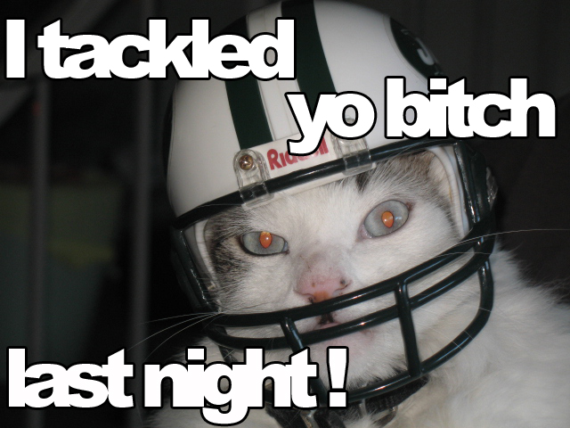 Tackled.jpg (216 KB)