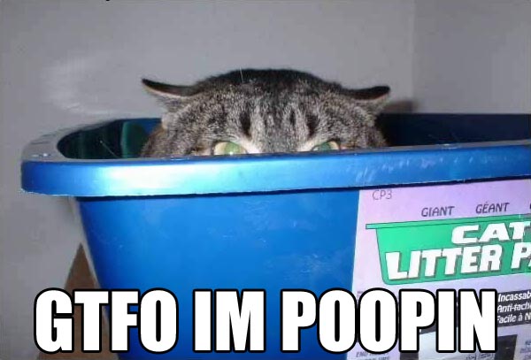 poop.jpg (38 KB)