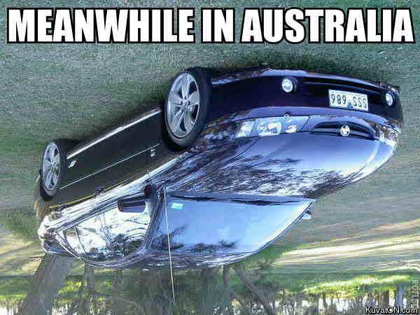 meanwhile-in-australia.jpg (50 KB)