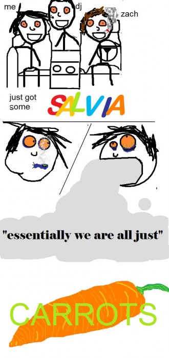 carrots.jpg (100 KB)