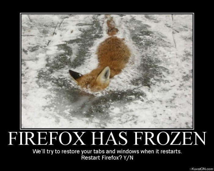 fox.jpg (92 KB)
