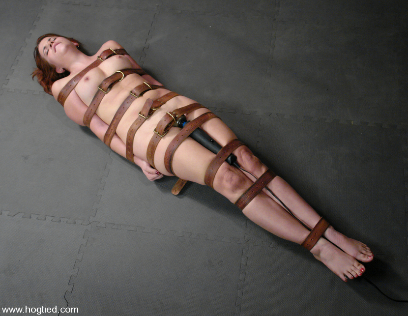 Hardtied Bondage Bestiality Picture