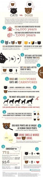 catsversusdogsbig01.jpg (561 KB)