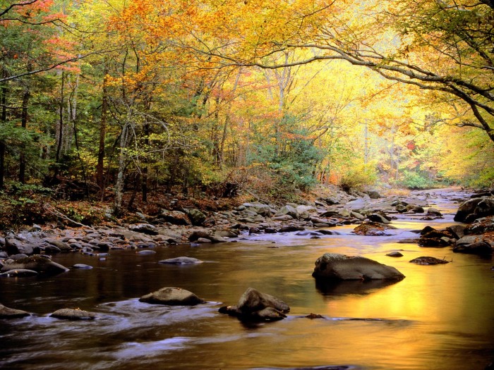 Golden_Waters_Great_Smoky_Mountains_National_Park_Tennessee.jpg (564 KB)