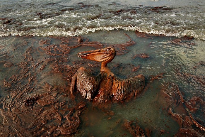 la-oil-spill.50.jpg (193 KB)
