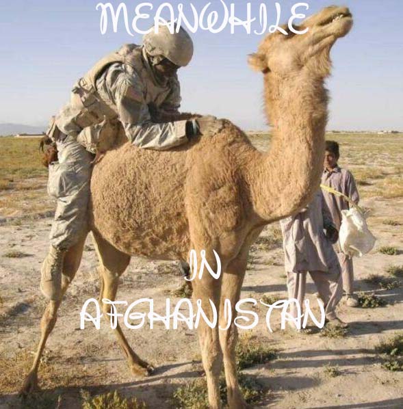 MEANWHILE_IN_AFGHANISTAN.jpg (95 KB)