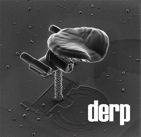 enterderp.JPG (26 KB)